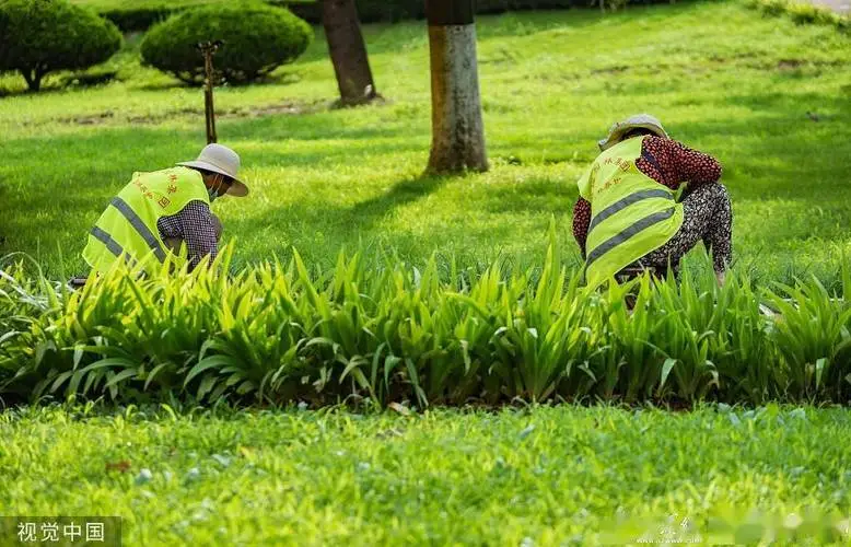 風(fēng)景園林專業(yè)人士必看！國(guó)企面試揭秘風(fēng)景園林管理找人方程式！